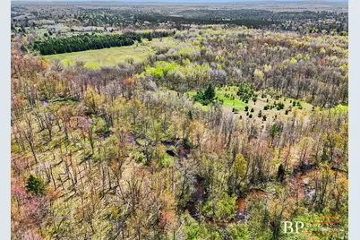 00 E Fountain Road, Branch, MI 49402 - Photo 5