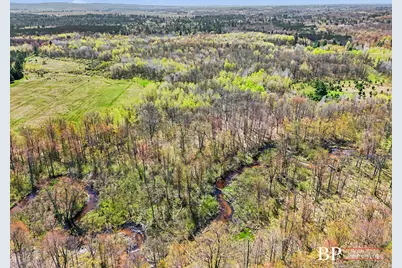 00 E Fountain Road, Branch, MI 49402 - Photo 7