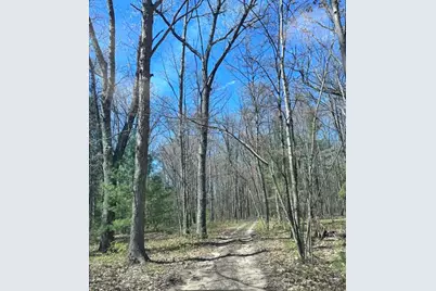 00 Pomeroy Springs Road, Manistee, MI 49660 - Photo 5