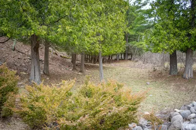 9184 M-37, Wellston, MI 49689 - Photo 59
