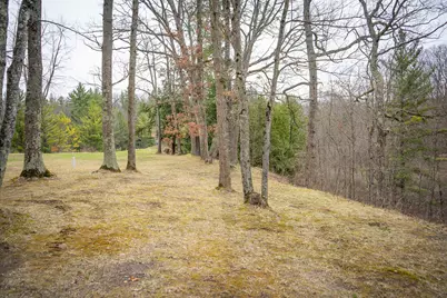 9184 M-37, Wellston, MI 49689 - Photo 51