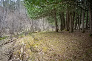 9184 M-37, Wellston, MI 49689 - Photo 65