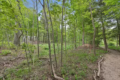 6056 Dune Path, Coloma, MI 49038 - Photo 9