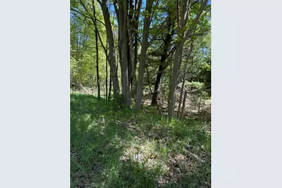 Sadie Lane #Parcel 'D', Bear Lake, MI 49614 - Photo 9