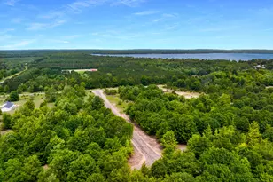 Sadie Ln, Bear Lake, MI 49614 - Photo 1