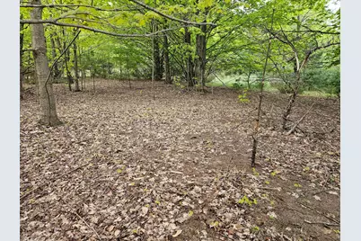 Sadie Lane #Parcel 'D', Bear Lake, MI 49614 - Photo 3