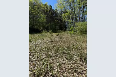 Sadie Lane #Parcel 'D', Bear Lake, MI 49614 - Photo 9