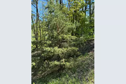 Sadie Lane #Parcel 'D', Bear Lake, MI 49614 - Photo 19