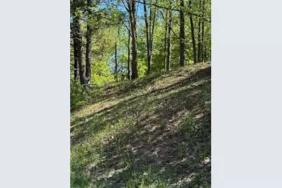 Sadie Lane, Bear Lake, MI 49614 - Photo 1