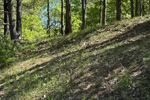 Sadie Ln, Bear Lake, MI 49614 - Photo 1