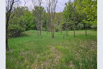 Sadie Lane #Parcel 'D', Bear Lake, MI 49614 - Photo 5