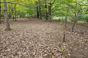 Sadie Ln, Bear Lake, MI 49614 - Photo 1