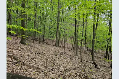 Sadie Lane #Parcel 'D', Bear Lake, MI 49614 - Photo 7
