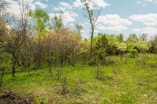 2203 Hickman Rd, Superior Township, MI 48198 - Photo 51