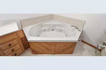 347 Moser Drive, Bronson, MI 49028 - Photo 29