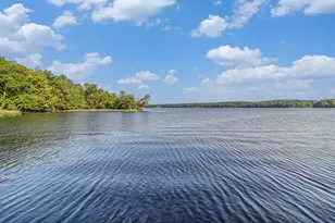 6253 Logger's Ln, Ludington, MI 49431 - Photo 7