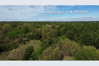 14771 180th Avenue, Stanwood, MI 49346 - Photo 11