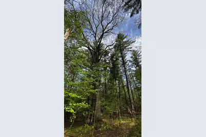 14771 180th Avenue, Stanwood, MI 49346 - Photo 29