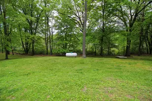 11111 Born St, Three Rivers, MI 49093 - Photo 23