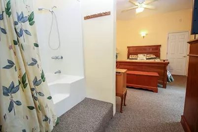 11111 Born Street, Three Rivers, MI 49093 - Photo 29