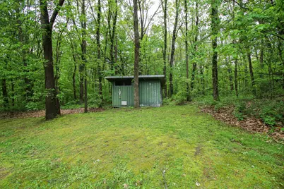 11111 Born Street, Three Rivers, MI 49093 - Photo 57