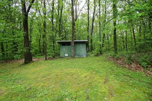11111 Born St, Three Rivers, MI 49093 - Photo 57