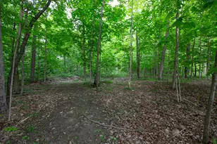 14120 Tyson Trail, Camden, MI 49232 - Photo 7