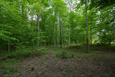 14120 Tyson Trail, Camden, MI 49232 - Photo 23