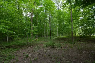 14120 Tyson Trail, Camden, MI 49232 - Photo 23