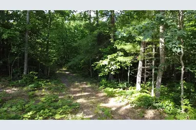 Vl 40 Acre Coates Hwy., Brethren, MI 49619 - Photo 19