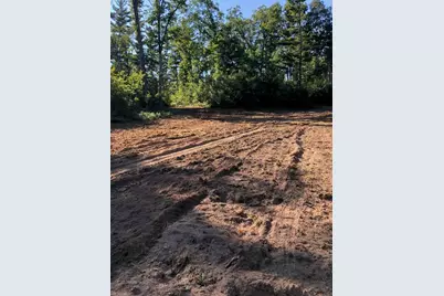 Vl 40 Acre Coates Hwy., Brethren, MI 49619 - Photo 27
