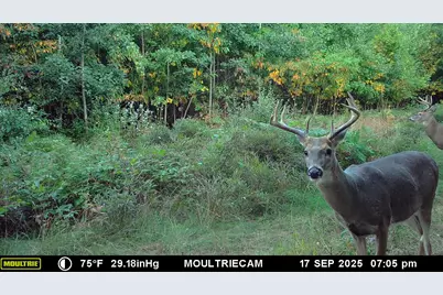 Vl 40 Acre Coates Hwy., Brethren, MI 49619 - Photo 25