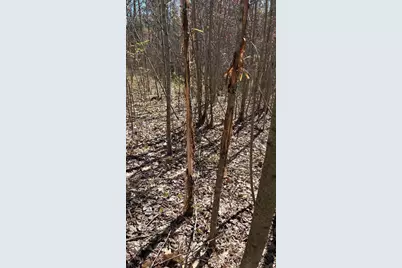 Vl 40 Acre Coates Hwy., Brethren, MI 49619 - Photo 21