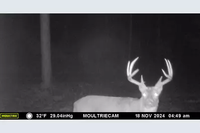 Vl 40 Acre Coates Hwy., Brethren, MI 49619 - Photo 25