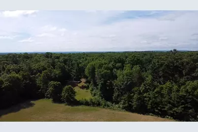 Vl 40 Acre Coates Hwy., Brethren, MI 49619 - Photo 15