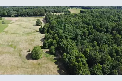 Vl 40 Acre Coates Hwy., Brethren, MI 49619 - Photo 37