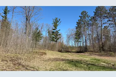 Vl 40 Acre Coates Hwy., Brethren, MI 49619 - Photo 31