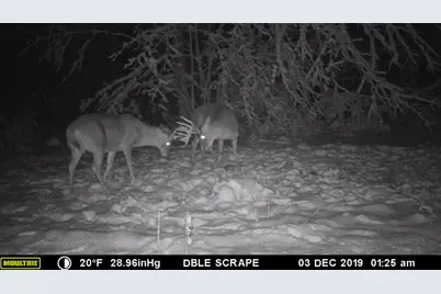 Vl 40 Acre Coates Hwy., Brethren, MI 49619 - Photo 51