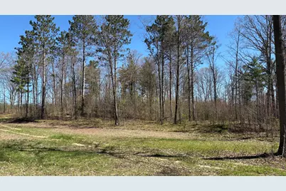 Vl 40 Acre Coates Hwy., Brethren, MI 49619 - Photo 39