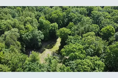 Vl 40 Acre Coates Hwy., Brethren, MI 49619 - Photo 31