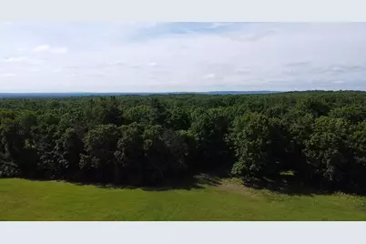 Vl 40 Acre Coates Hwy., Brethren, MI 49619 - Photo 39