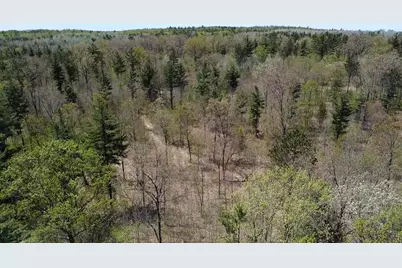 Vl 40 Acre Coates Hwy., Brethren, MI 49619 - Photo 35