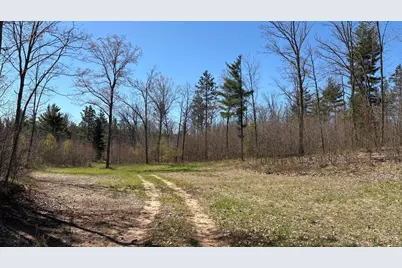 Vl 40 Acre Coates Hwy., Brethren, MI 49619 - Photo 23