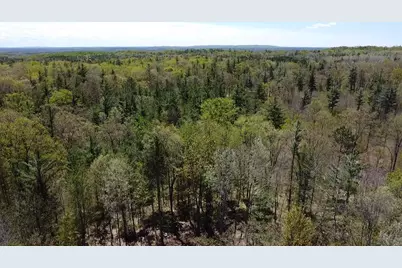 Vl 40 Acre Coates Hwy., Brethren, MI 49619 - Photo 55