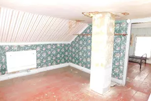 111 E St Marys St, Decatur, MI 49045 - Photo 11