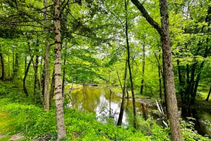 41341 Co Rd 665, Paw Paw, MI 49079 - Photo 21