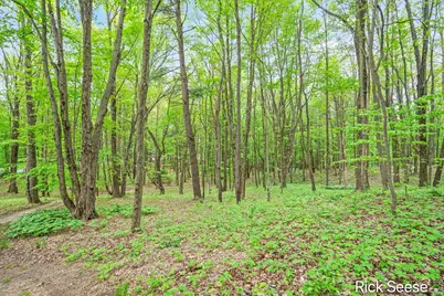 2855 Gulliford Drive SE, Lowell, MI 49331 - Photo 9