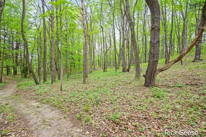 2855 Gulliford Drive SE, Lowell, MI 49331 - Photo 7