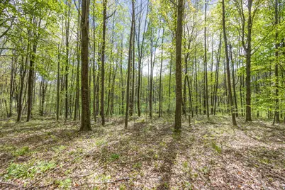 16130 140th Avenue, Leroy, MI 49655 - Photo 13