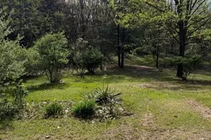 6572 Cottonwood Ave, Big Rapids, MI 49307 - Photo 27